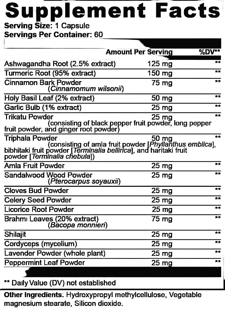 Ayurvedic Complex™ – Ashwagandha, Turmeric & Shilajit | Digestive Health & Overall Well-Being Support | 60 Caps