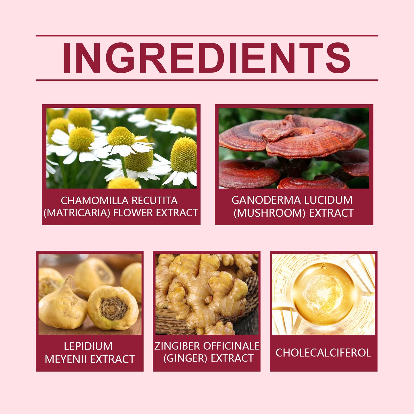 South Moon Herbal Energy Patch Men's Energy Supplement Patch To Improve Vitality Performance Herbal Patch