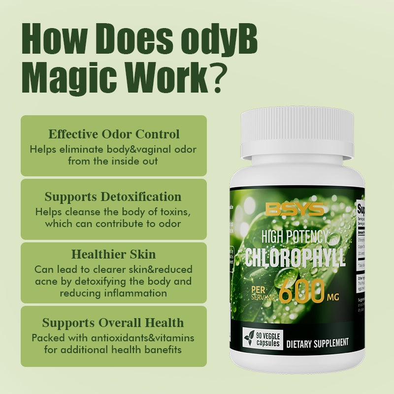 Chlorophyll Capsules Fat Metabolism Support Aid Blood Purification & Detox Boost Digestive Health & Constipation Relief Helper Immune System Enhancement Daily Detox & Wellness Supplement