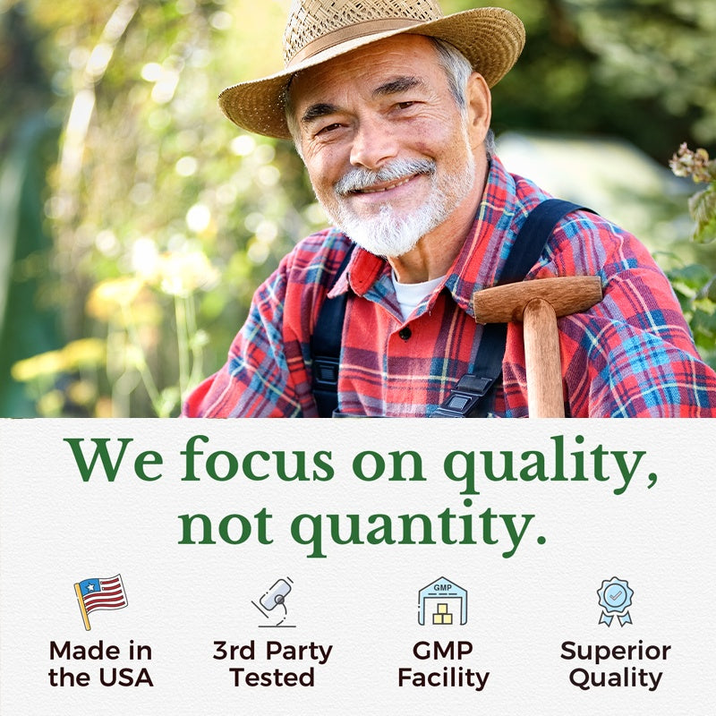 Moringa Capsules Antioxidant & Anti-Inflammatory Support Blood Sugar Health Aid Cholesterol Balance Formula Heart Wellness Support Immune Boost & Natural Defense Daily Superfood Supplement