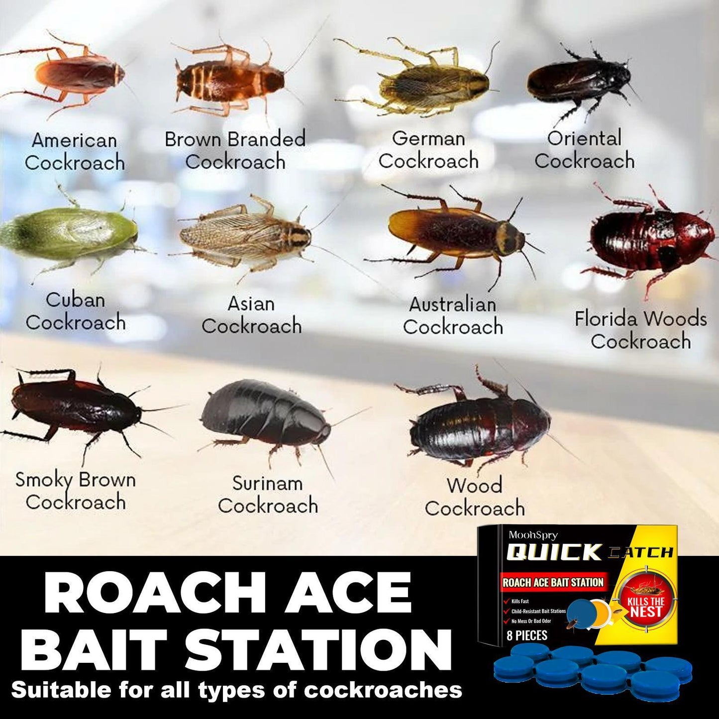 Moon Elf Roach Buster Bait Station Ship From USA
