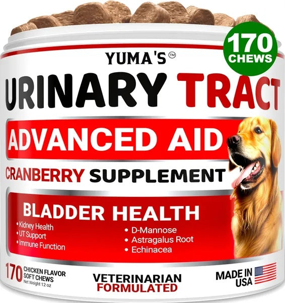 Dog UTI Treatment 170 Treats Cranberry Supplement For Dogs Bladder Control For Dogs 1PC