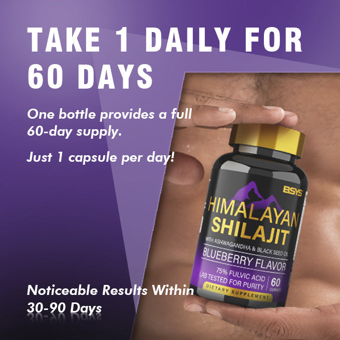 SHILAJIT GUMMIES 60'S