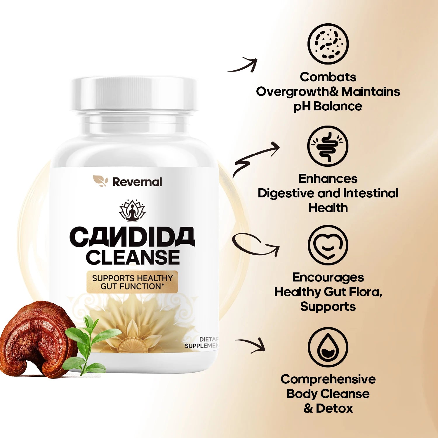 2pcs Quitmood Candida Cleanse - Anti Yeast Overgrow Gut & Colon Support (60 Capsules) - for Men & Women - Natural Herbs