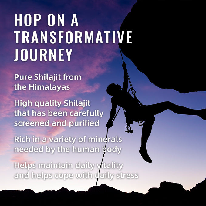 SHILAJIT GUMMIES 60'S