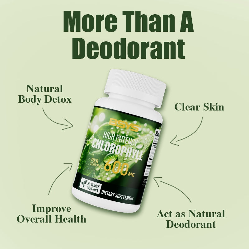 Chlorophyll Capsules Fat Metabolism Support Aid Blood Purification & Detox Boost Digestive Health & Constipation Relief Helper Immune System Enhancement Daily Detox & Wellness Supplement